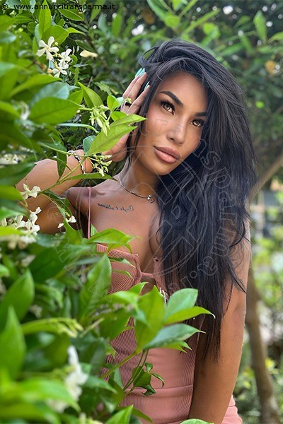 Foto Incontro Mandy Asiatica  Transescort Napoli
